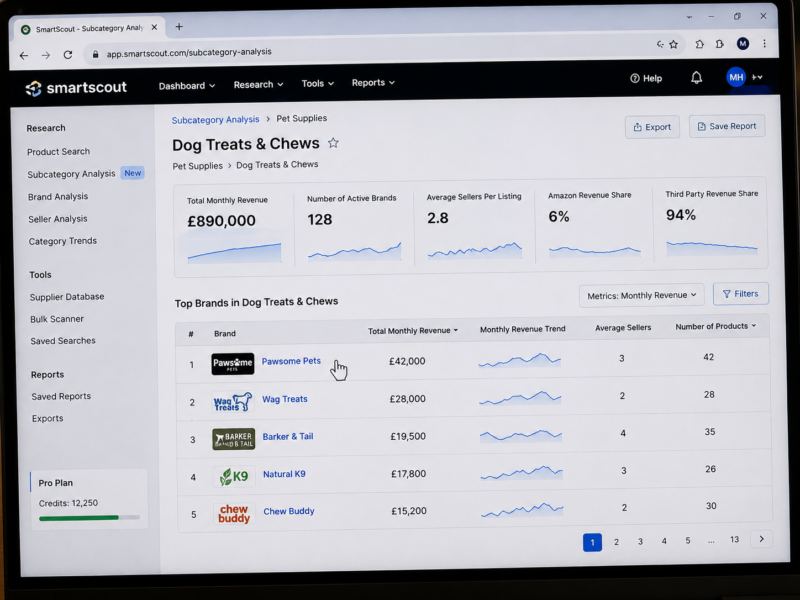 SmartScout Subcategory Analysis Screen Showing Health Beauty Total Revenue Brand Count Average Sellers Amazon Revenue Share Wholesale Category Evaluation